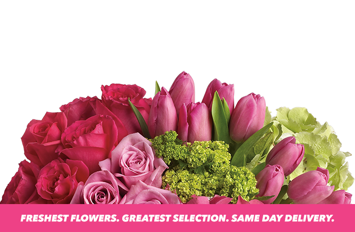 Deal of The Day bouquet at #shopname# in #city# Deal of The Day bouquet at #shopname# in #city#